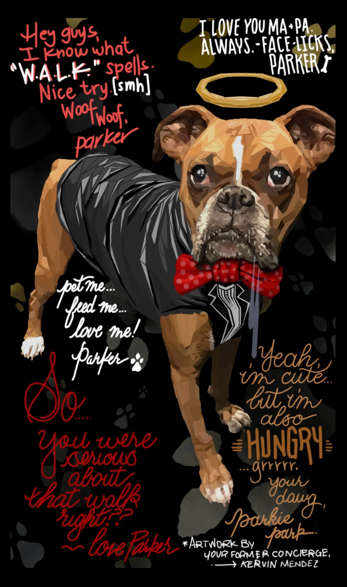 PARKER.THE.BOXER